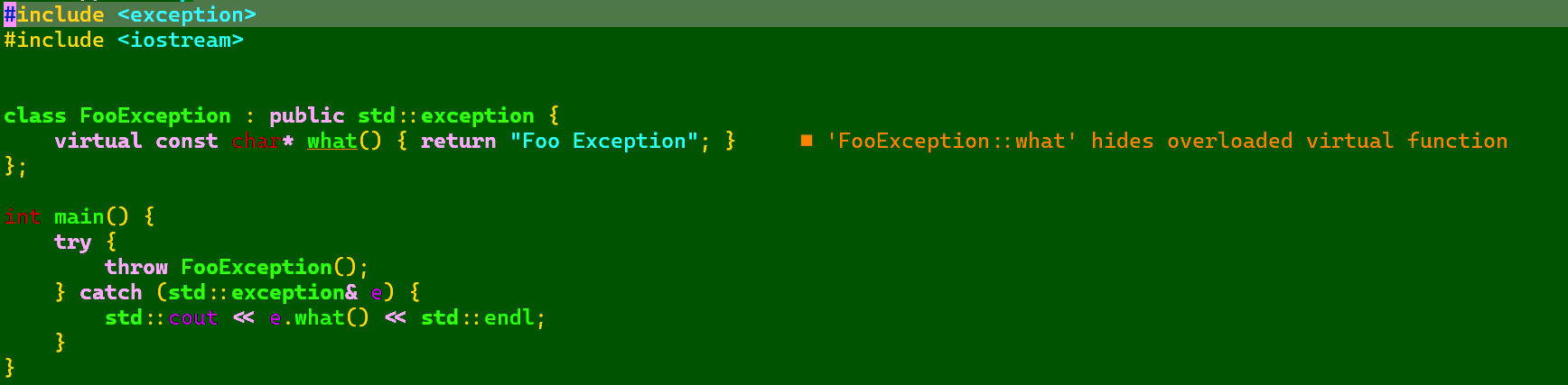 基类的 what() 被覆盖